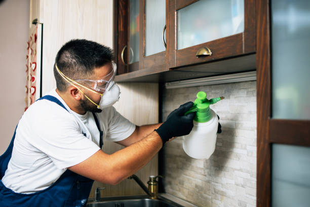 Best Emergency Pest Control  in Buchanan Dam, TX