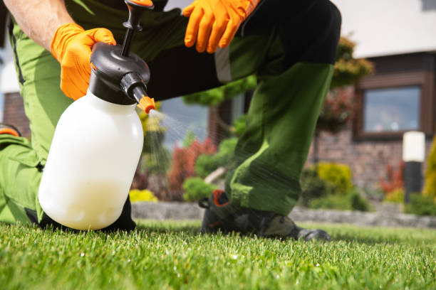 Pest Control for Restaurants in Buchanan Dam, TX