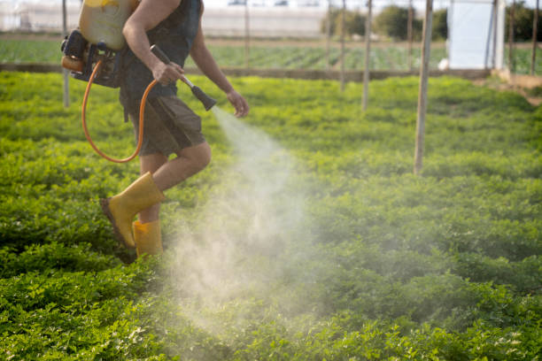 Pest Prevention Services in Buchanan Dam, TX