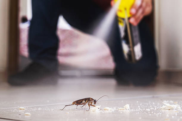 Trusted Buchanan Dam, TX Pest Control Experts