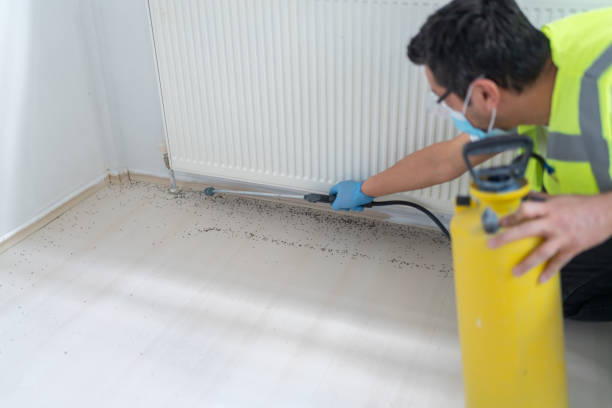 Best Affordable Pest Control Services  in Buchanan Dam, TX